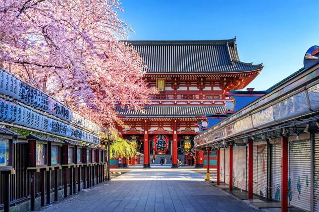 Asakusa Sensoji with cherry blossoms