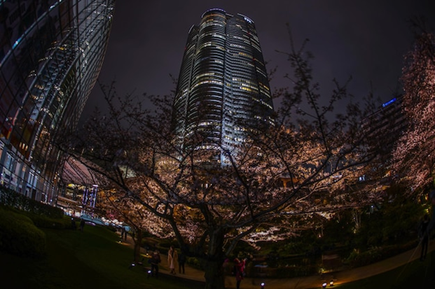 Mori Tower Roppongi