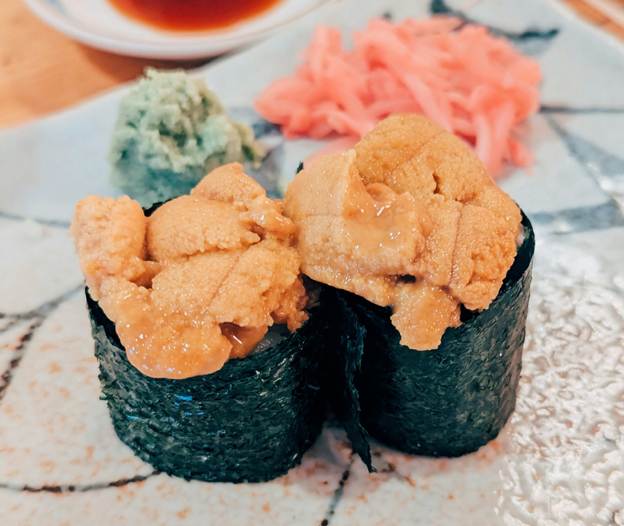 Uni – Sea Urchin
