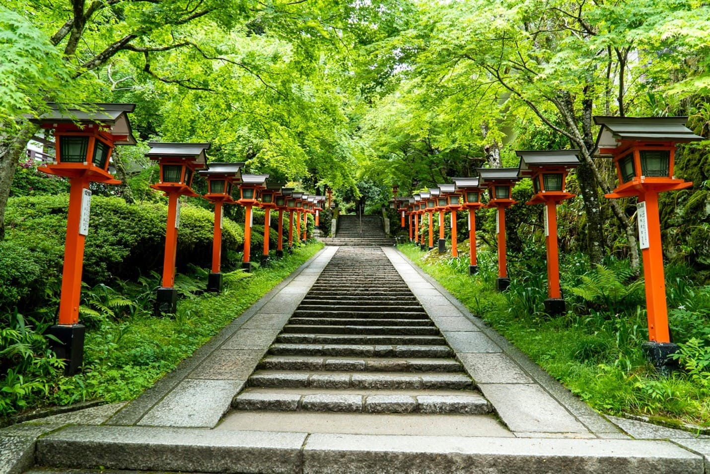 Japanese Nature