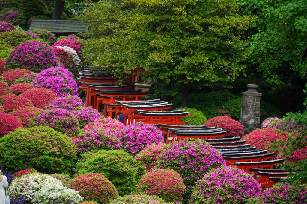 Nezu Shrine